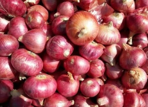 Whole Nasik Onion