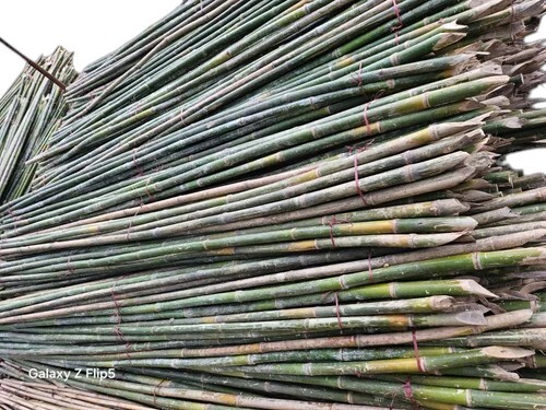 12 Feet Cutting Bamboo Pole