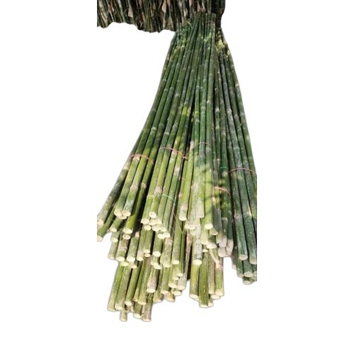 15 Feet Cutting Bamboo Pole