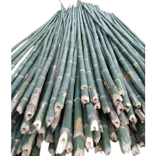 24 Feet Bamboo Pole