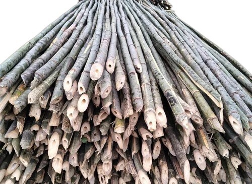 24 Feet Super Bamboo Pole