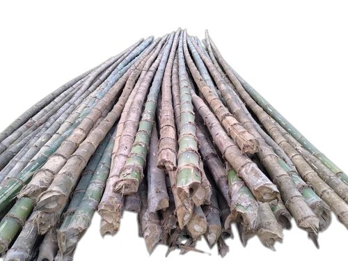 28 Feet Balcooa Bamboo Pole