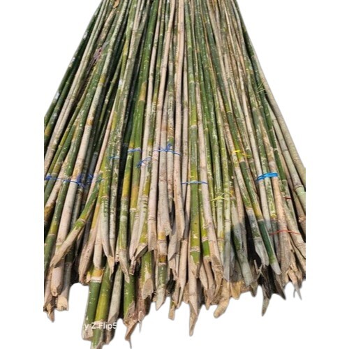 30 Feet Long Murli Bamboo Pole