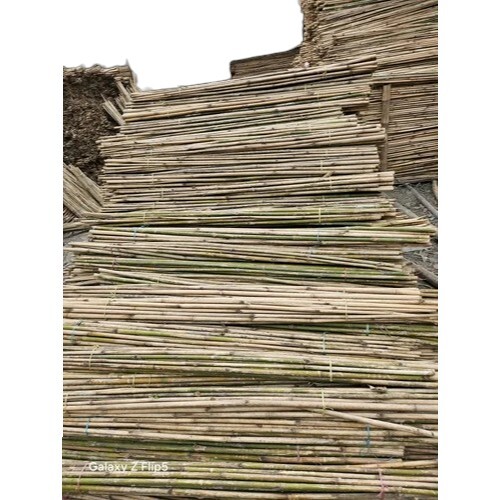 4 Feet Four Seat Nursery Bamboo Stick