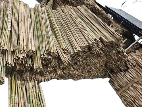 6 Feet Cutting Bamboo Pole