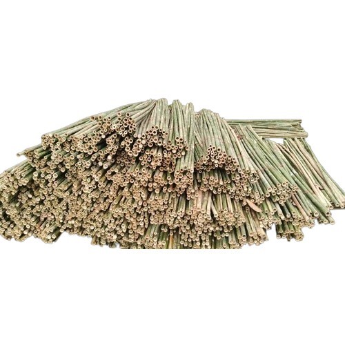 8 Feet Nursery Bamboo Stick