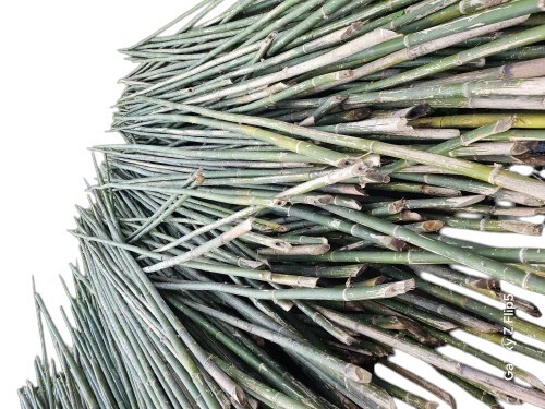 Bamboo Pole 20 Feet
