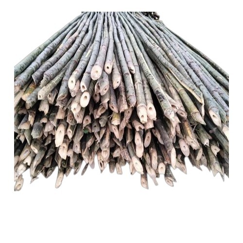 Bamboo Pole 24 Feet - Color: Brown