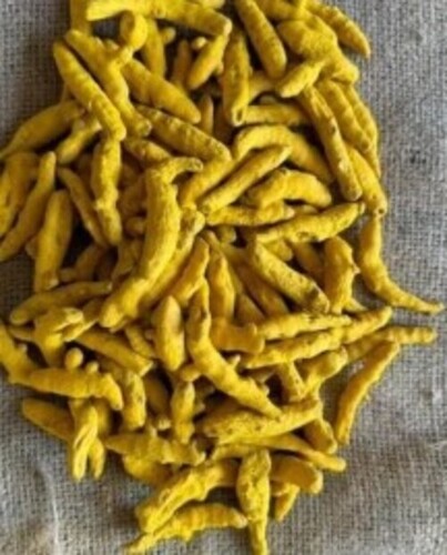 Dried Turmeric Finger
