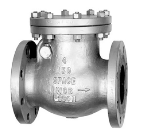 Feed Water Check Valve