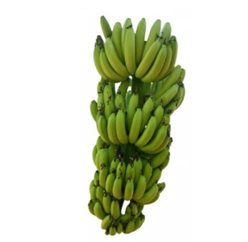 Fresh Green Raw Banana
