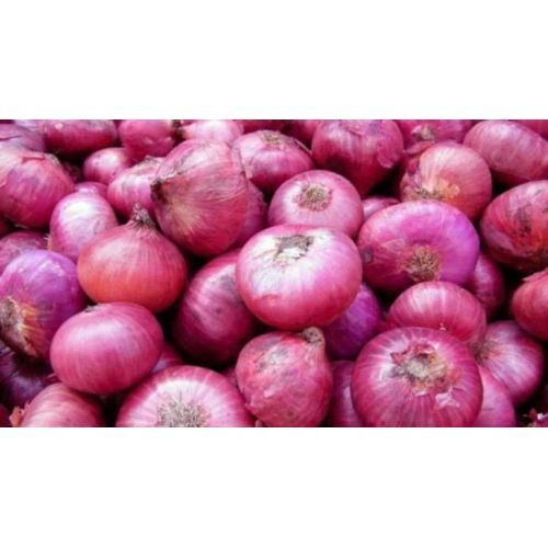 Fresh Onion