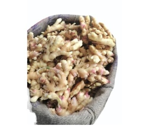 Fresh Organic Ginger