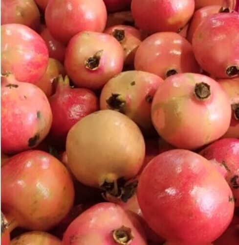 Fresh Ruby Pomegranate By Chaitanya Global Exim