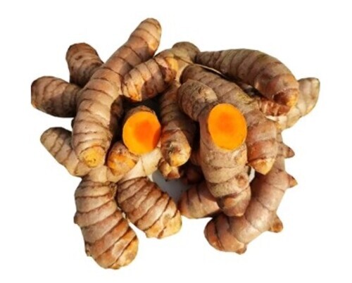 Raw Turmeric Root