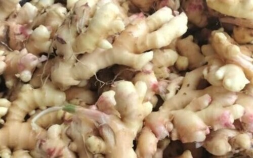 Whole Fresh Ginger