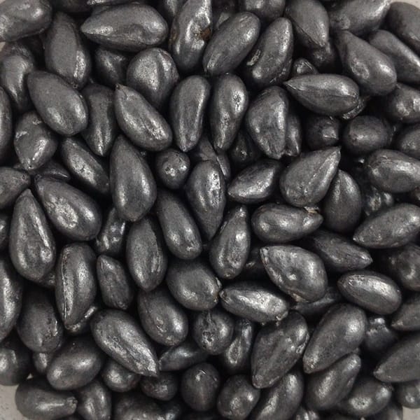 Cotton Seeds