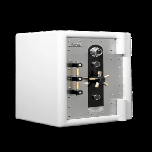 Safe Deposit Locker