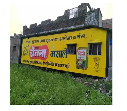 Wall Painting Work