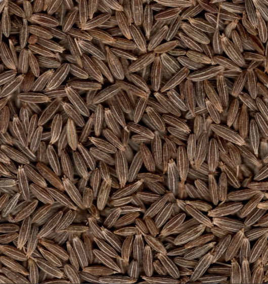 Export Quality Jeera - Color: Natural