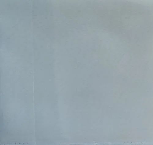 Plain Polyester Fabric
