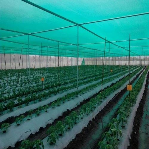 50 Gsm Hdpe Agriculture Shade Net