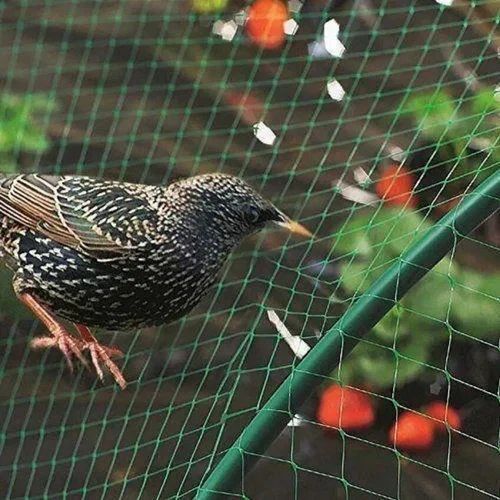 Agriculture Bird Protection Net