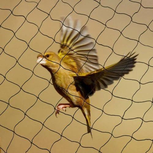 Bird Protection Netting