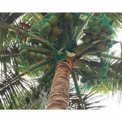 Braided Green Coconut Safety Nets
