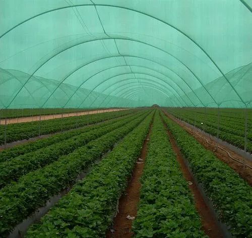 Hdpe Shade Net