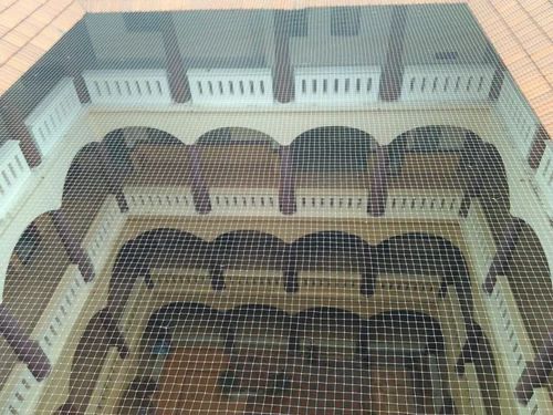 Hdpe Bird Protection Net