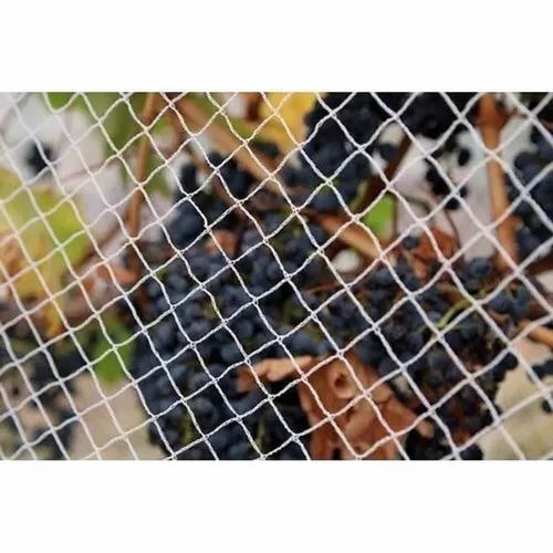 Uv Stabilized Bird Protection Net