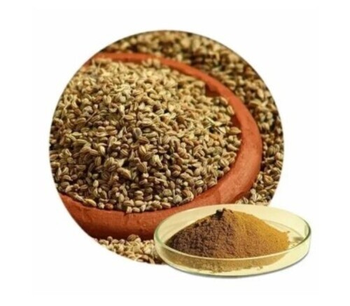 Carom Seed Powder