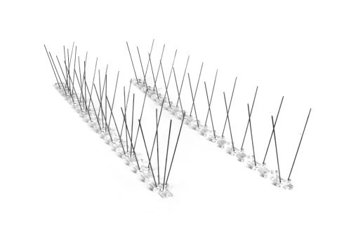bird spike