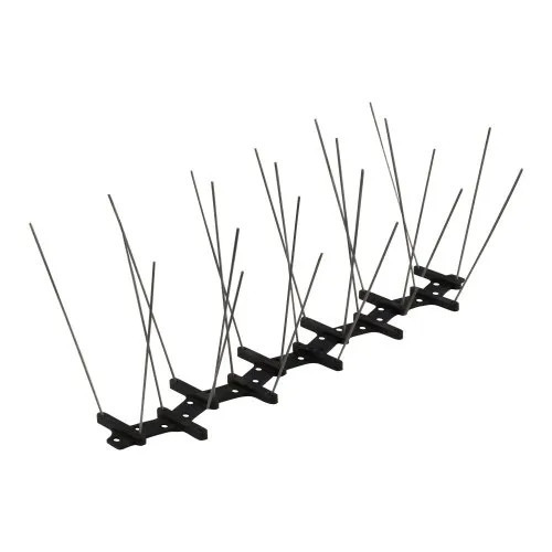 Stainless Steel Bird Spike With Black Base