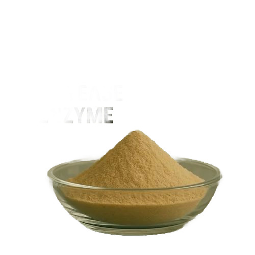 Alkaline Protease