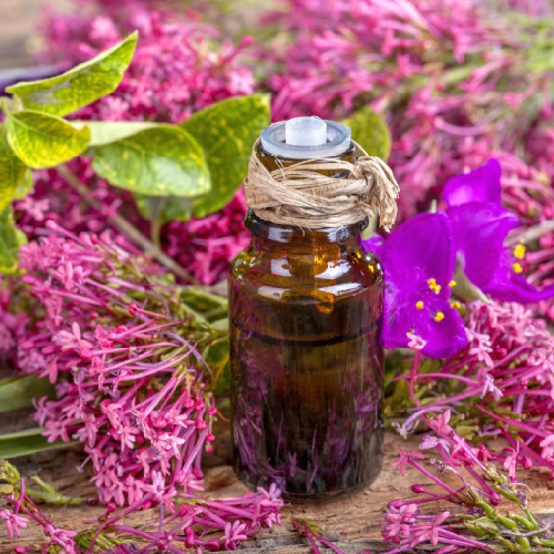 Clary Sage Oil - Leaves Extracted, Yellow Liquid | 2 Years Shelf Life, Room Temperature Storage