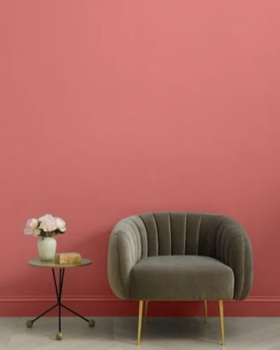 Living Room Lime Plaster Texture