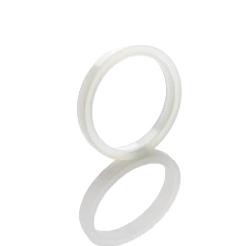 Rheodyne Injector Seal