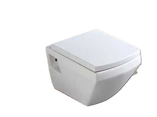 Wall Mounted Ewc
