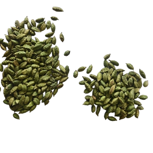 Cardamom 8mm++