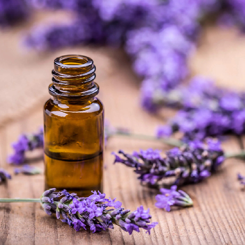 Lavender Oil