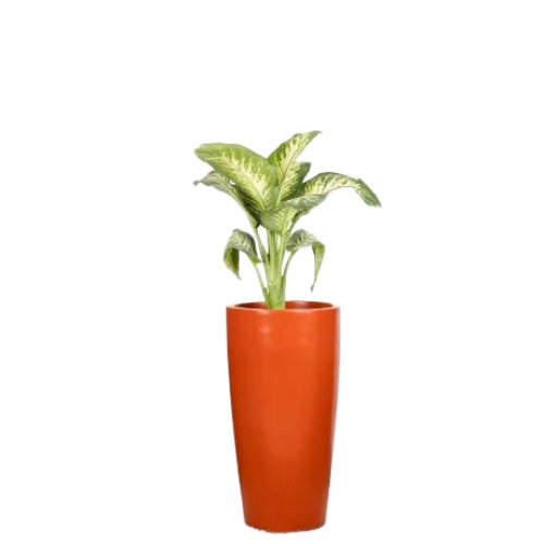 02 Standing Garden Planter - FRP Rectangular 5 Feet Multicolor Backrest | Modern Design Seating Height 2.5 Feet