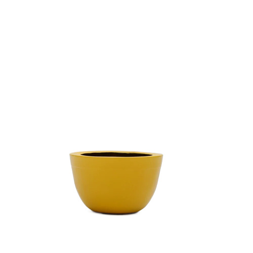 Designer Flower Pot