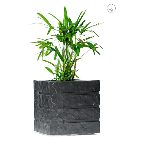 Fiberglass Planter