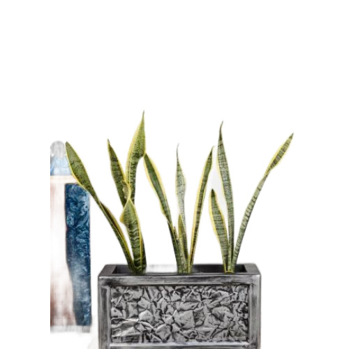 05 Cockle Fiberglass Garden Planter