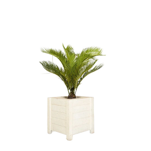 12 Inch Frp Flower Pots