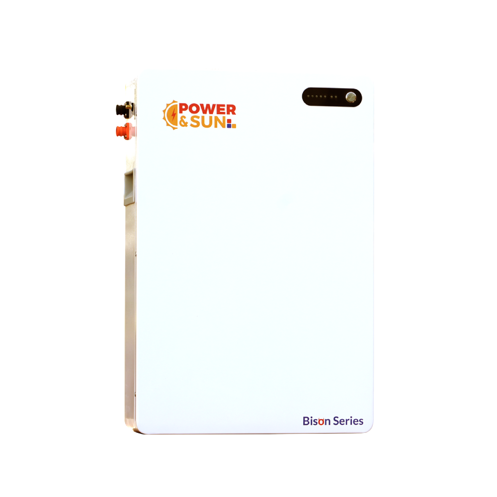 Bison Series 5.12Kwh Lithium Ion Lv Battery - Battery Capacity: 1 Milliampere-Hour (Mah)