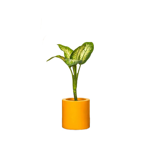 Frp Circular Pot