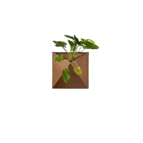 Frp Single Pocket Planter - FRP Brown Square | Home Decoration, Plain Pattern